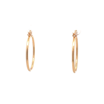 New Mini Pin-catch Earrings - 06