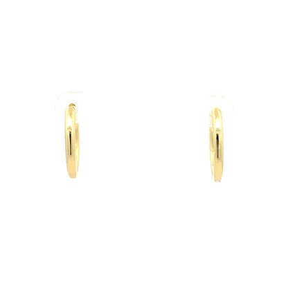 Huggie Hoops & Charm Earrings - Style 10