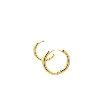 Huggie Hoops & Charm Earrings - Style 11