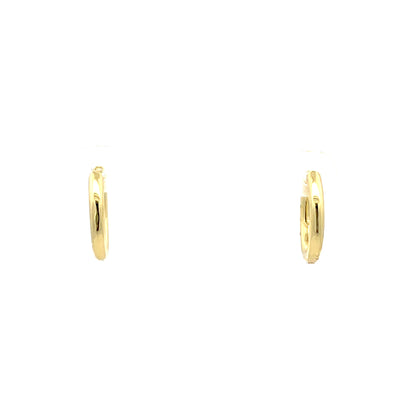 Huggie Hoops & Charm Earrings - Style 11