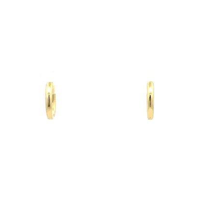 Huggie Hoops & Charm Earrings - Style 12