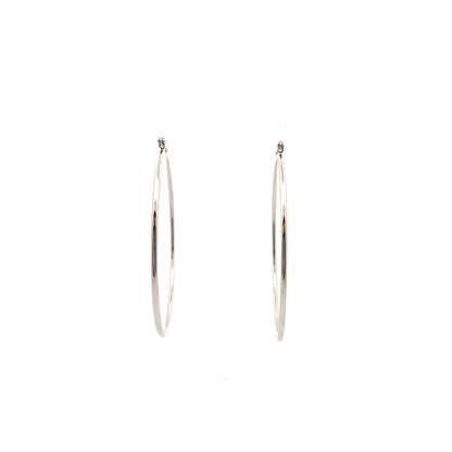 Floor Pin-catch Earrings - Style 43