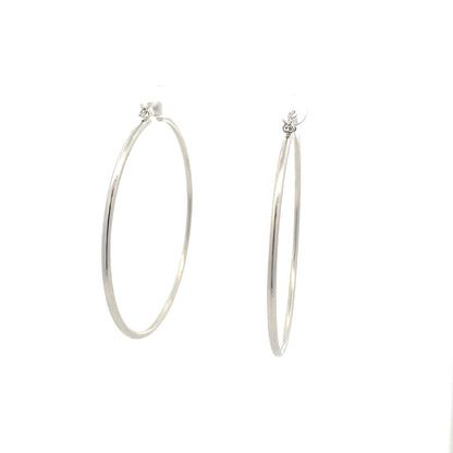 Floor Pin-catch Earrings - Style 46