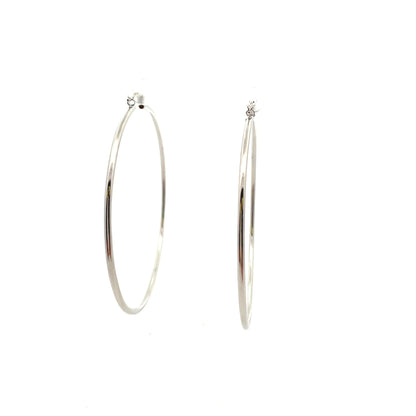 Floor Pin-catch Earrings - Style 49