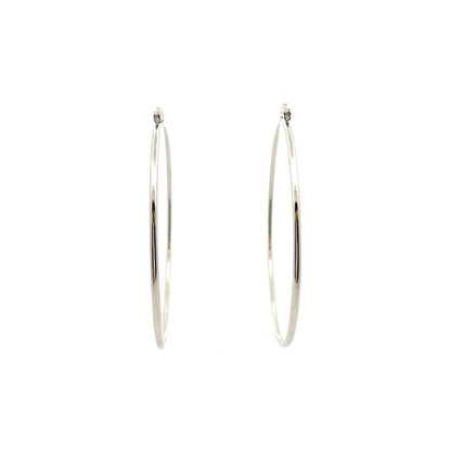Floor Pin-catch Earrings - Style 49