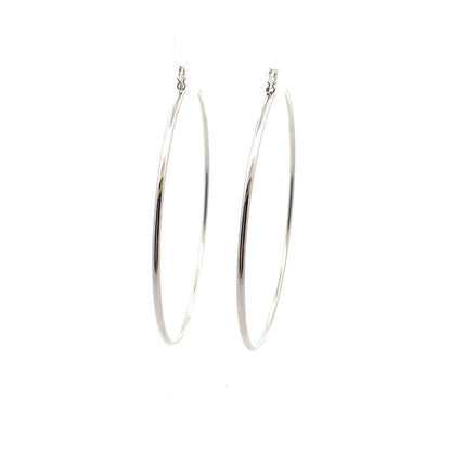 Floor Pin-catch Earrings - Style 50