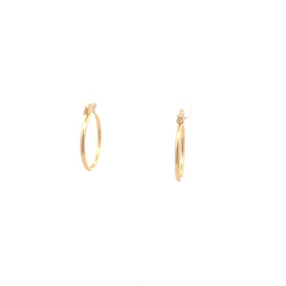 Floor Pin-catch Earrings - Style 17