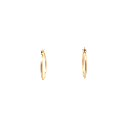 Floor Pin-catch Earrings - Style 17