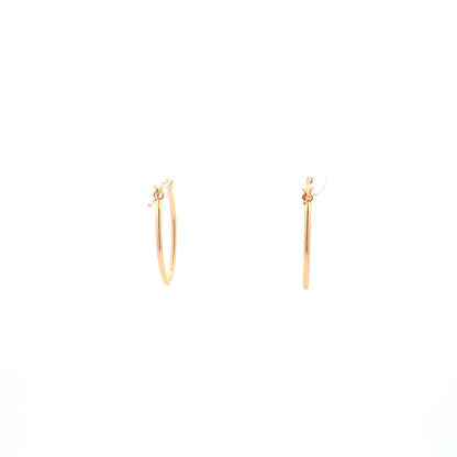Floor Pin-catch Earrings - Style 18