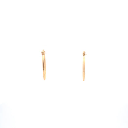 Floor Pin-catch Earrings - Style 18