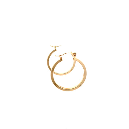 Floor Pin-catch Earrings - Style 19