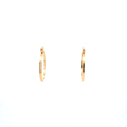 Floor Pin-catch Earrings - Style 19