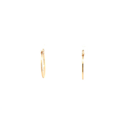 Floor Pin-catch Earrings - Style 20