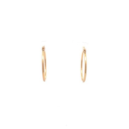 Floor Pin-catch Earrings - Style 21