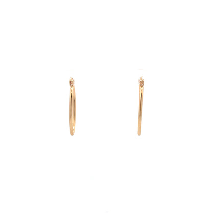 Floor Pin-catch Earrings - Style 22