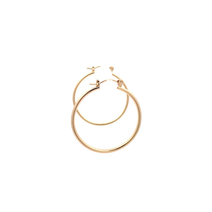 Floor Pin-catch Earrings - Style 25