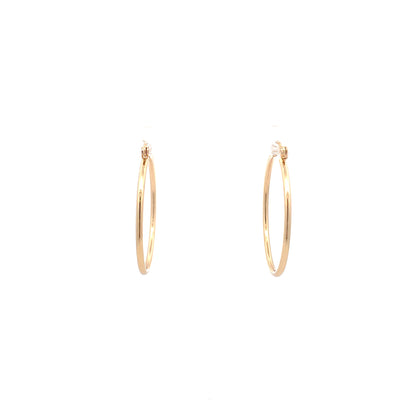 Floor Pin-catch Earrings - Style 25