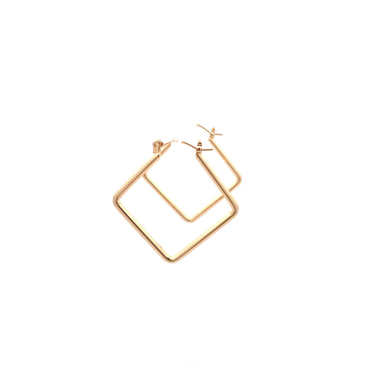 Floor Pin-catch Earrings - Style 28