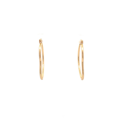 Floor Pin-catch Earrings - Style 30