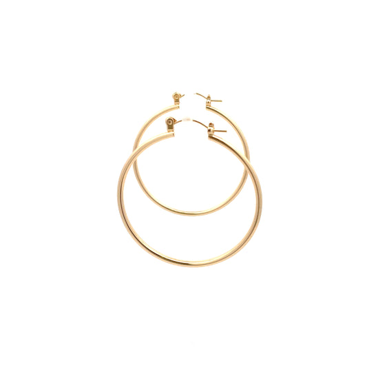 Floor Pin-catch Earrings - Style 31