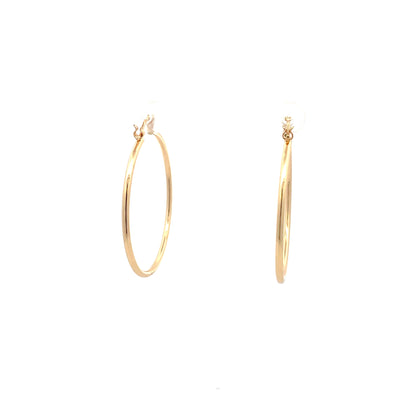 Floor Pin-catch Earrings - Style 31
