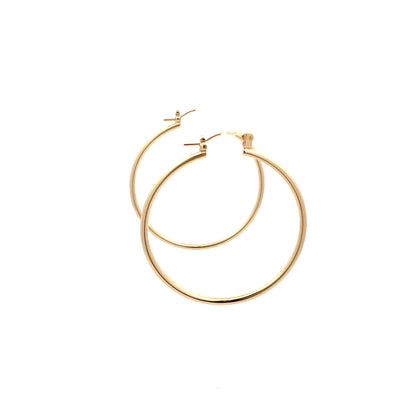 Floor Pin-catch Earrings - Style 31