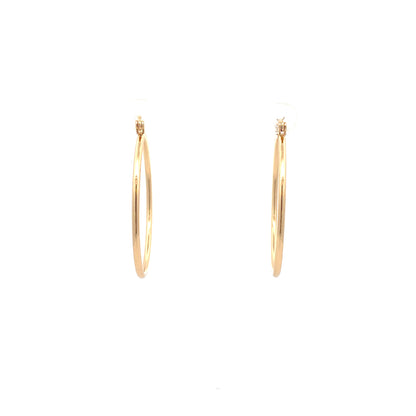 Floor Pin-catch Earrings - Style 31