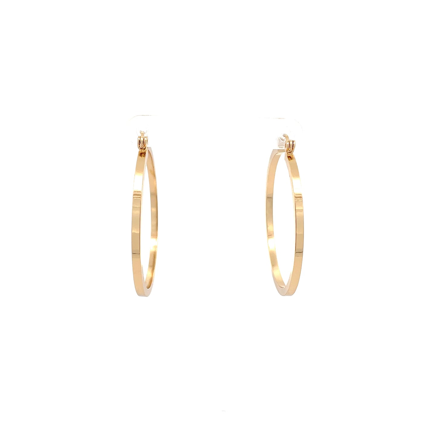 Floor Pin-catch Earrings - Style 32