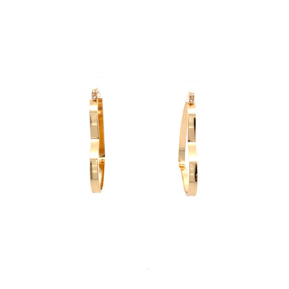 Floor Pin-catch Earrings - Style 36