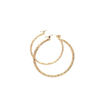 Floor Pin-catch Earrings - Style 40