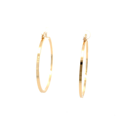Floor Pin-catch Earrings - Style 41