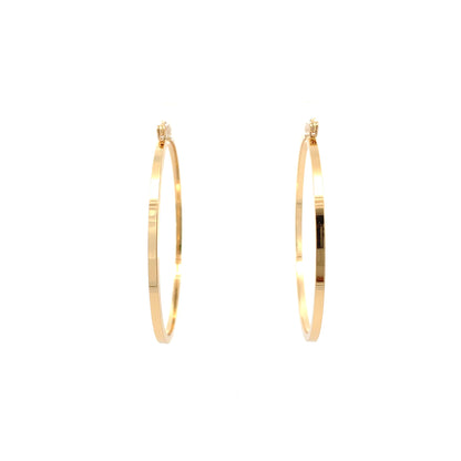 Floor Pin-catch Earrings - Style 41