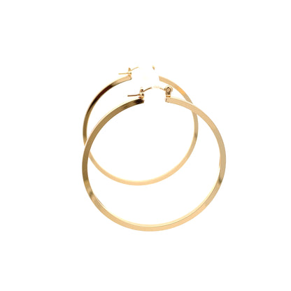 Floor Pin-catch Earrings - Style 41