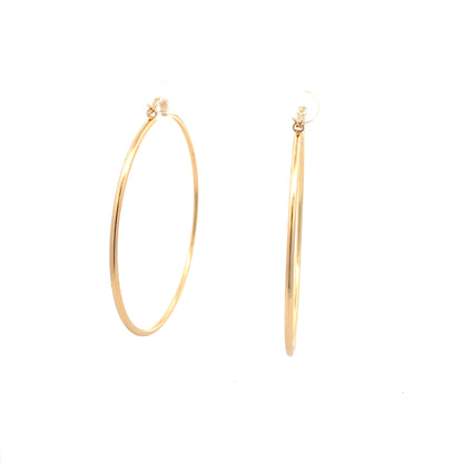 Floor Pin-catch Earrings - Style 43