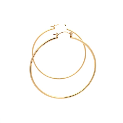 Floor Pin-catch Earrings - Style 43