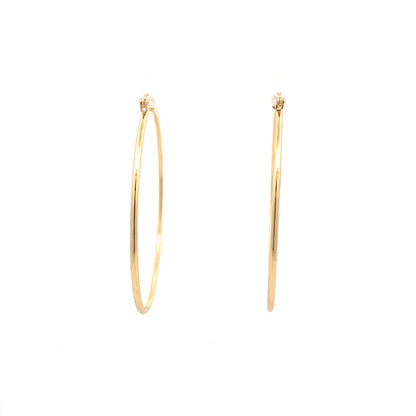 Floor Pin-catch Earrings - Style 43