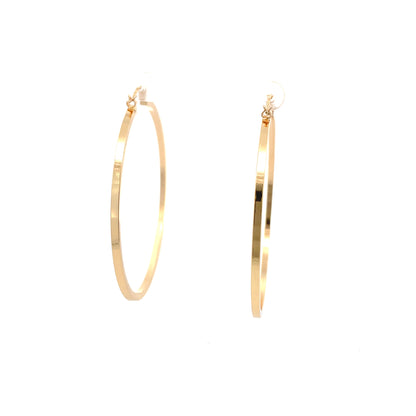 Floor Pin-catch Earrings - Style 44