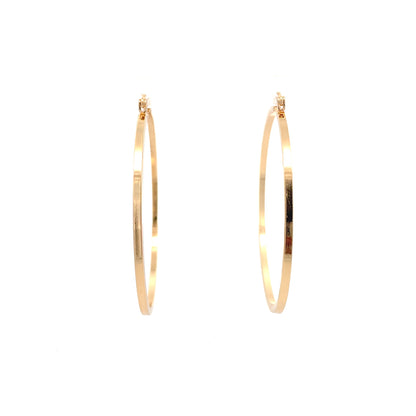 Floor Pin-catch Earrings - Style 44