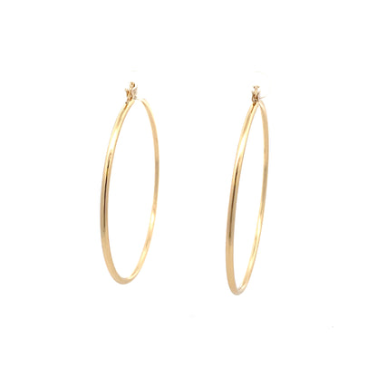 Floor Pin-catch Earrings - Style 46