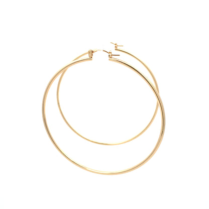 Floor Pin-catch Earrings - Style 49