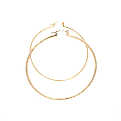 Floor Pin-catch Earrings - Style 49