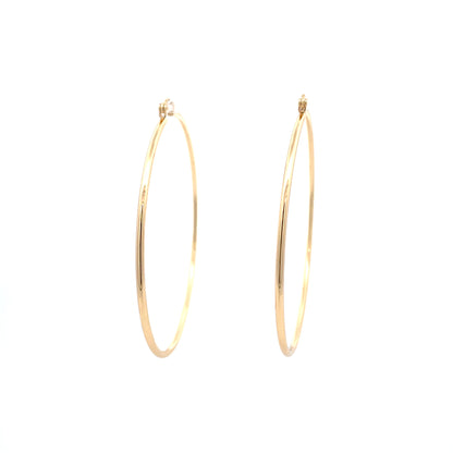 Floor Pin-catch Earrings - Style 49