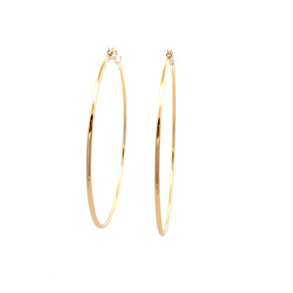Floor Pin-catch Earrings - Style 50