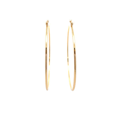 Floor Pin-catch Earrings - Style 50