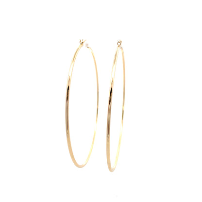 Floor Pin-catch Earrings - Style 52