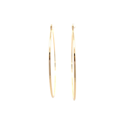 Floor Pin-catch Earrings - Style 52