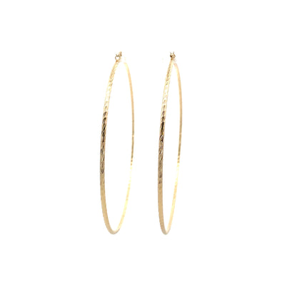 Floor Pin-catch Earrings - Style 53