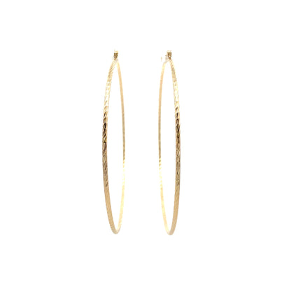 Floor Pin-catch Earrings - Style 53