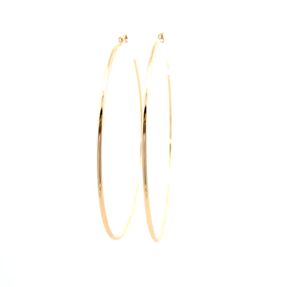 Floor Pin-catch Earrings - Style 54