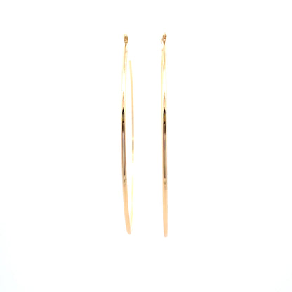 Floor Pin-catch Earrings - Style 54